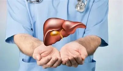 Liver Transplant